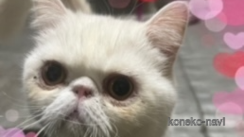 くん1枚目