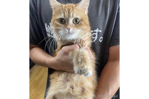 みぬこちゃん1枚目