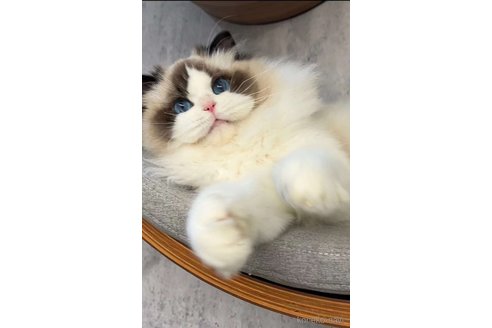 パンダくん1枚目