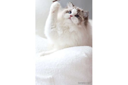 ちゃん1枚目