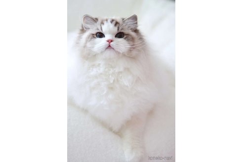 ちゃん1枚目