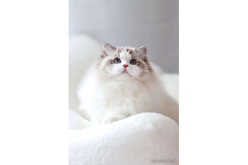 ちゃん1枚目