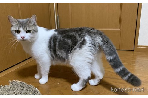 なんちゃん1枚目