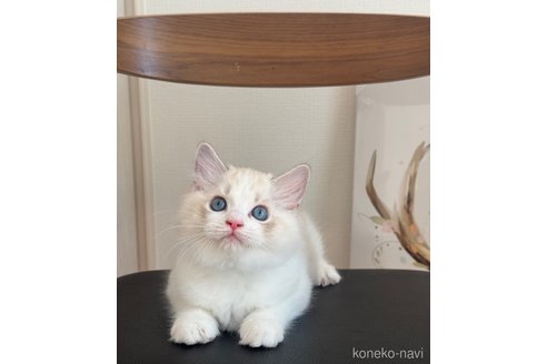 くん1枚目
