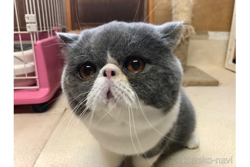 くん1枚目