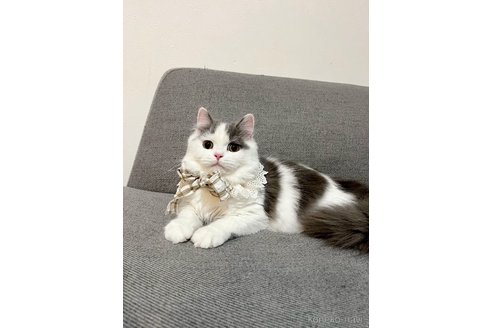 アモちゃん1枚目