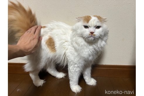 たけしくん1枚目