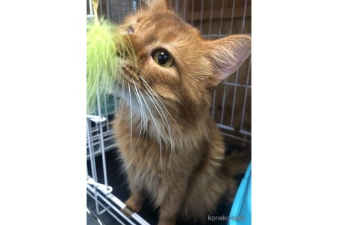 まさむねくん1枚目