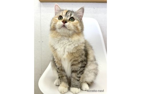 キキちゃん1枚目