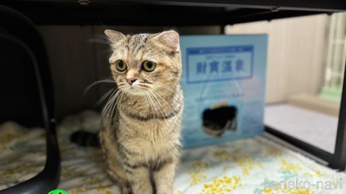 ちゃん1枚目