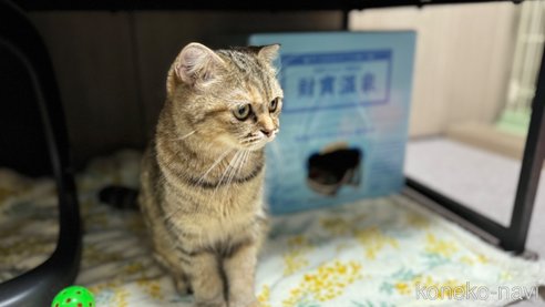 ちゃん1枚目