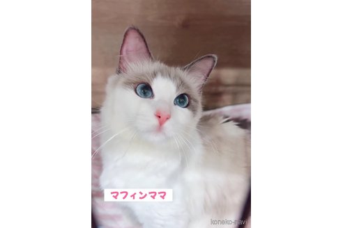 ちゃん1枚目