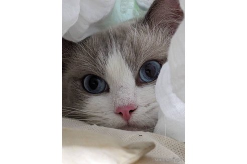 ランランくん1枚目
