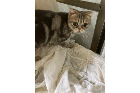 めぐみっちゃちゃん1枚目