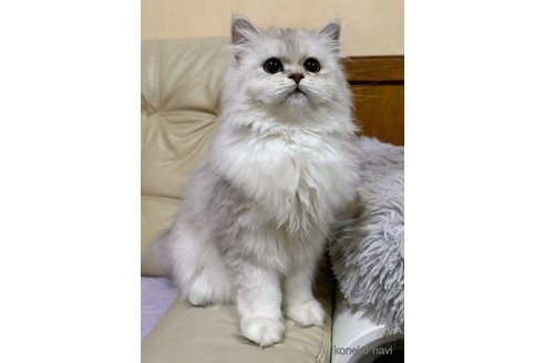 わかなちゃん1枚目