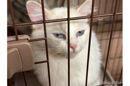 ちゃん1枚目