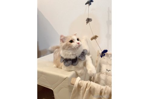 ゆたくん1枚目