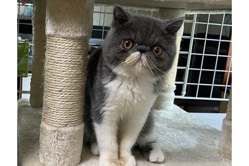 大五郎くん1枚目