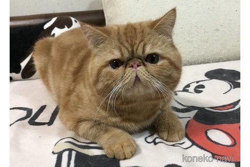 丹次郎くん1枚目