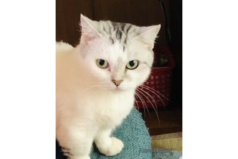 ひかりちゃん1枚目