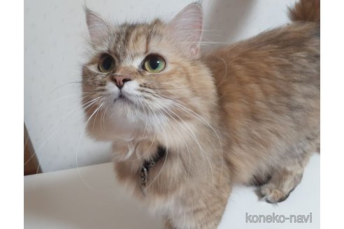 おとちゃん1枚目