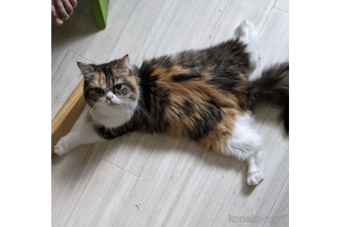チカちゃん1枚目