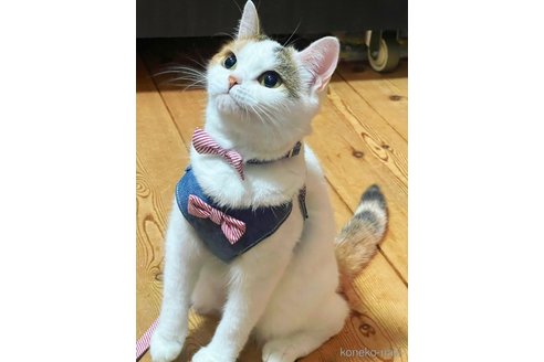 ちゃん1枚目