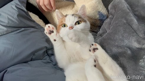 ちゃん1枚目