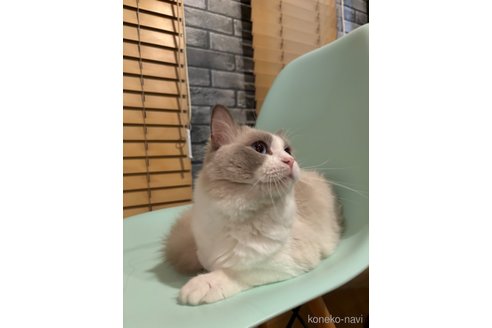 くん1枚目