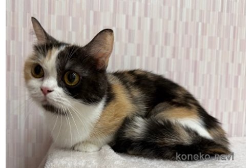 夢々ちゃん1枚目