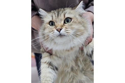 リナちゃん1枚目