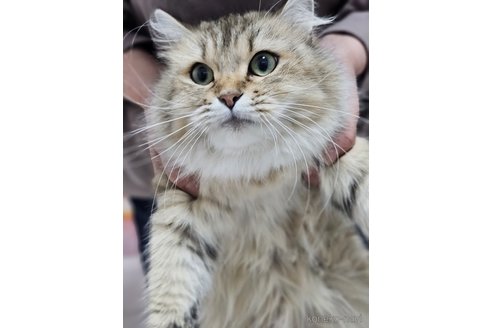 リナちゃん1枚目
