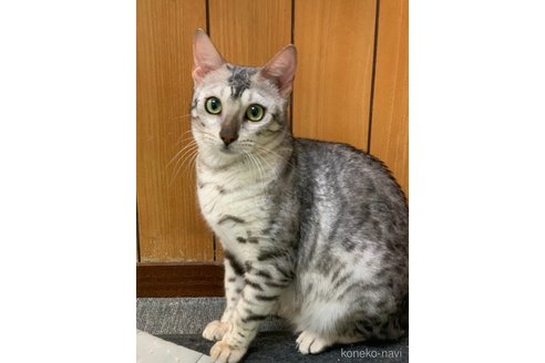 ちゃん1枚目