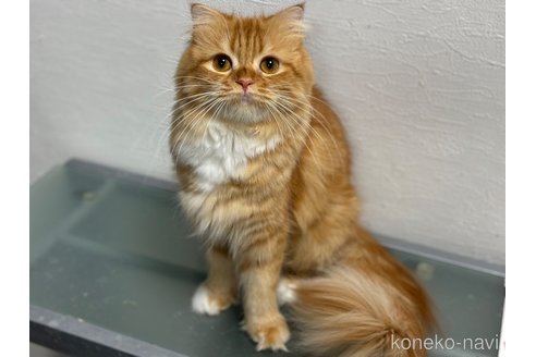 ヴィヴィちゃん1枚目