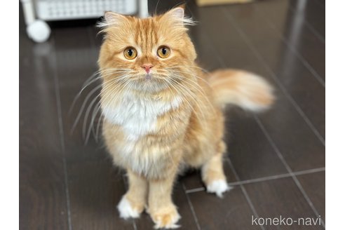 ヴィヴィちゃん1枚目