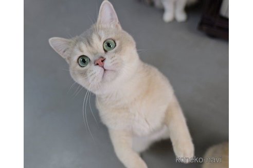 ケロンパくん1枚目