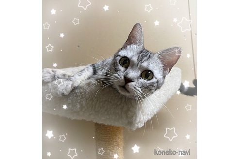 ちびちゃん1枚目
