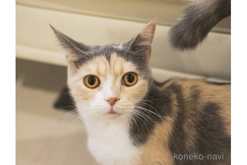 ビビちゃん1枚目