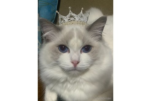 ちゃん1枚目