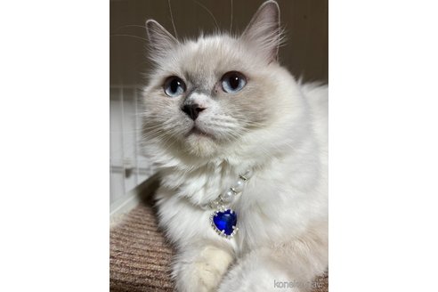 ちゃん1枚目