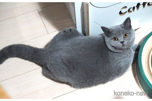 チャルメラちゃん1枚目