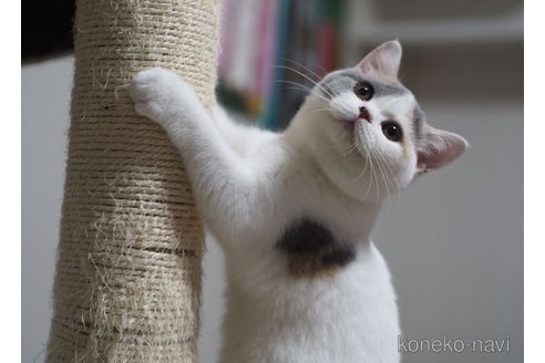 エルちゃん1枚目