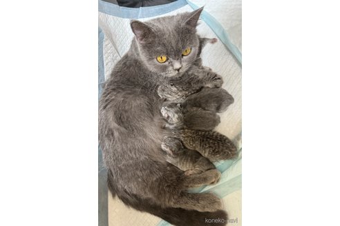 デブちゃん1枚目