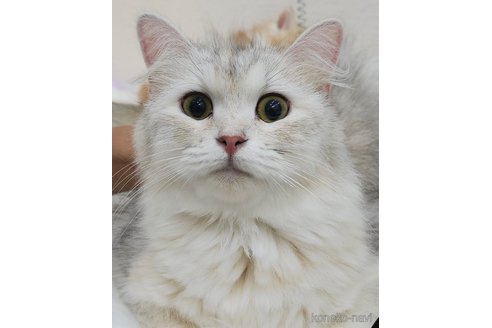 アイナちゃん1枚目