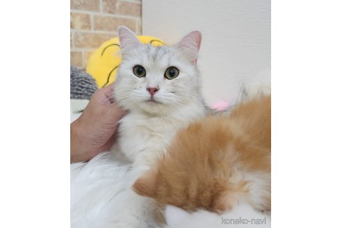 アイナちゃん1枚目
