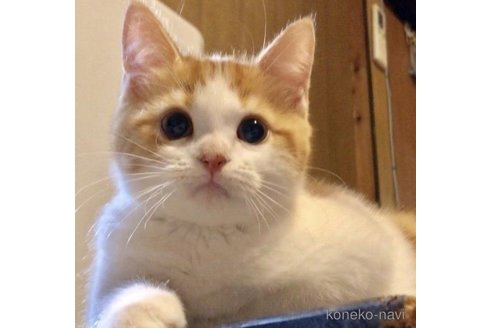 ハチくん1枚目