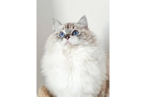 くん1枚目