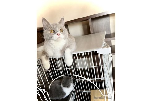 はむちゃん1枚目