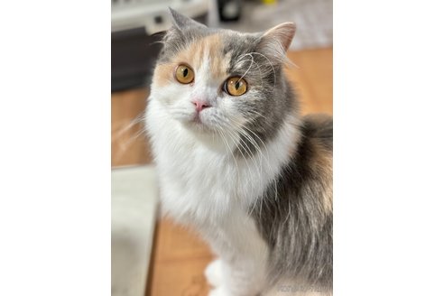 メルちゃん1枚目