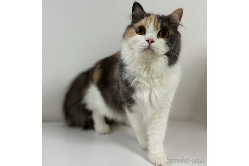 メルちゃん1枚目